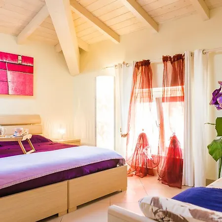 Guest house Relais Il Nido Pisa